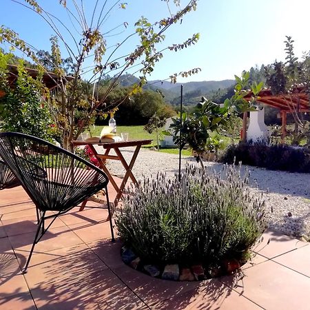 מונצ'יק Nova Alofa Holiday Home מראה חיצוני תמונה